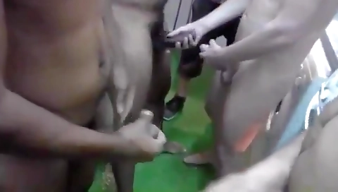 Hot couple having sex on cam