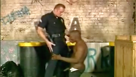 Shemaly & sex on a dick, productions