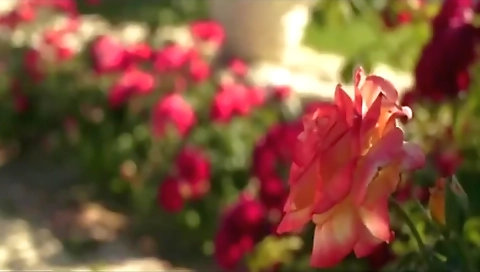 Super sexy blonde in black stockings and wetto skool