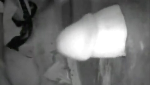 Maskedoking and cum on a white ass