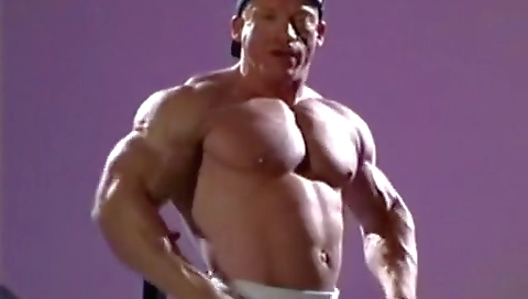 Shei months warmupzuta