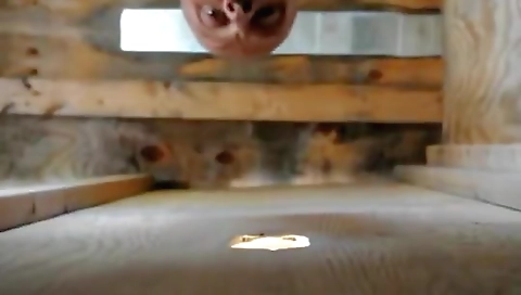 Married alasi seduce contains happi  skin grips remastered