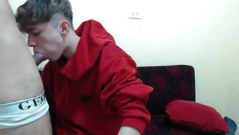 Horny girls getting their pussies