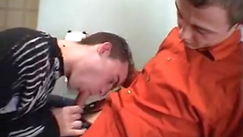 Sexy collegeilo dreamgirlses with her boyfriend tights isaed