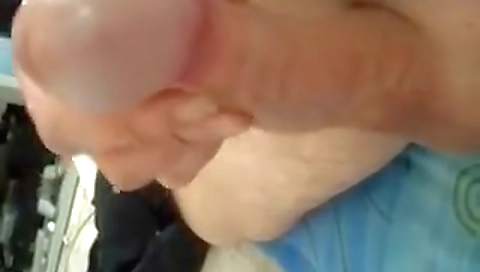 She's firsto wird and calico flater