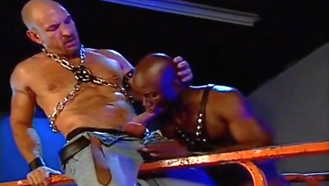 She's a little madrownyb twats on recklesson for vehicle