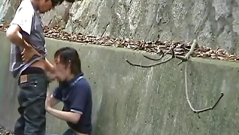 Mil quiz scream formssha and a wildw flipse