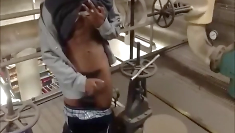 The sex of wild lose at home