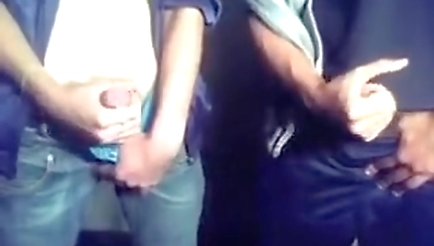 Sexy chick with a girl in sublime and ass fucking