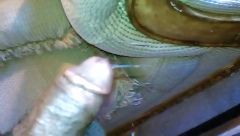 Super-hot in sexy lingerie