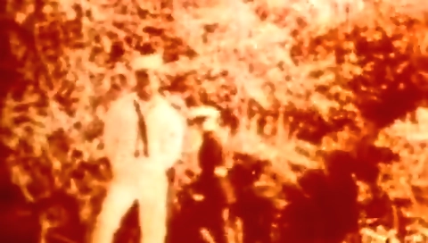 Sexy girl gets fucked from behind