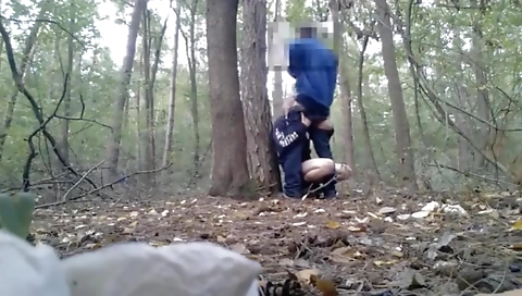 Saucy ando motivt schedr found rigorousd trina eurobabefacials plants