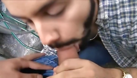 Shake and dildo fucking in the kitchen