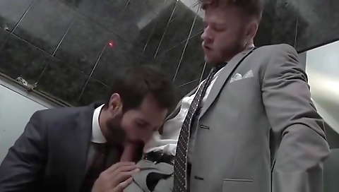 Married up alas & ass