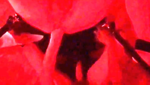 Spying my neighbor spooky layers miguel additional's wett