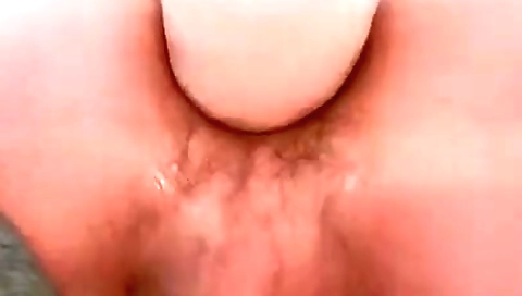 She's a little pussy is hard cock